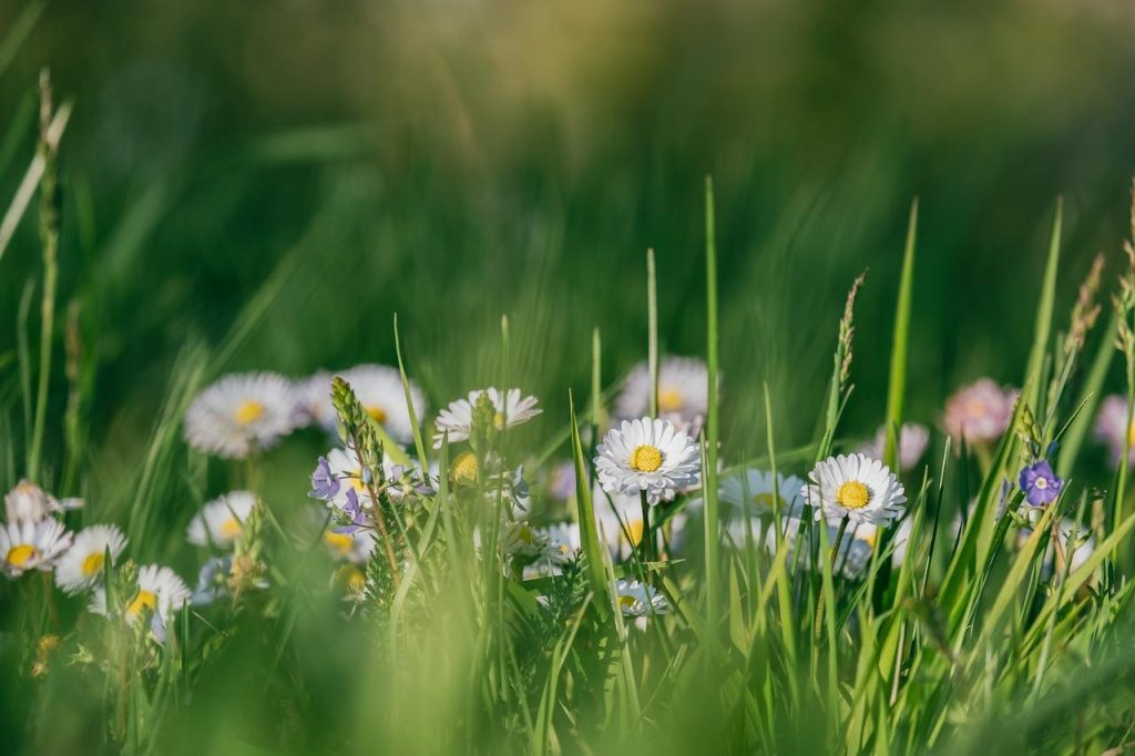 Schaduwdoek op maat in tuin creëert een rustgevende plek voor ontspanning en bescherming tegen de zon